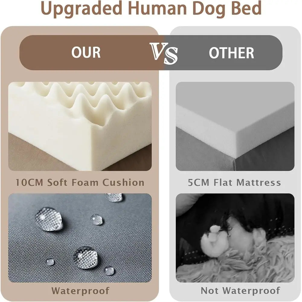Oversized 71x45x12 Grey Memory Foam Dog Bed with Pillow, Blanket & Strap for Adults and Large Pets,