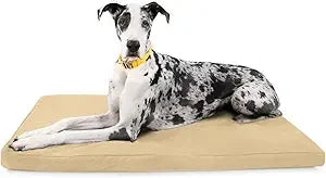 Tough Rip-Stop Orthopedic Dog Bed - Durable, Removable, Washable Cover, Kennel Pad Fits in Crate, Medium 35"x22", Light Gray