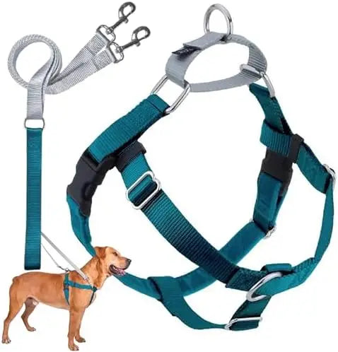 Adjustable Harness for Small/Med/Large Dogs – Easy Walks & Comfort
