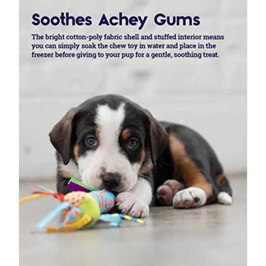 Cool Puppy Chew Toy for 0 6 Month Puppies, Teething Relief, Freezable and Durable