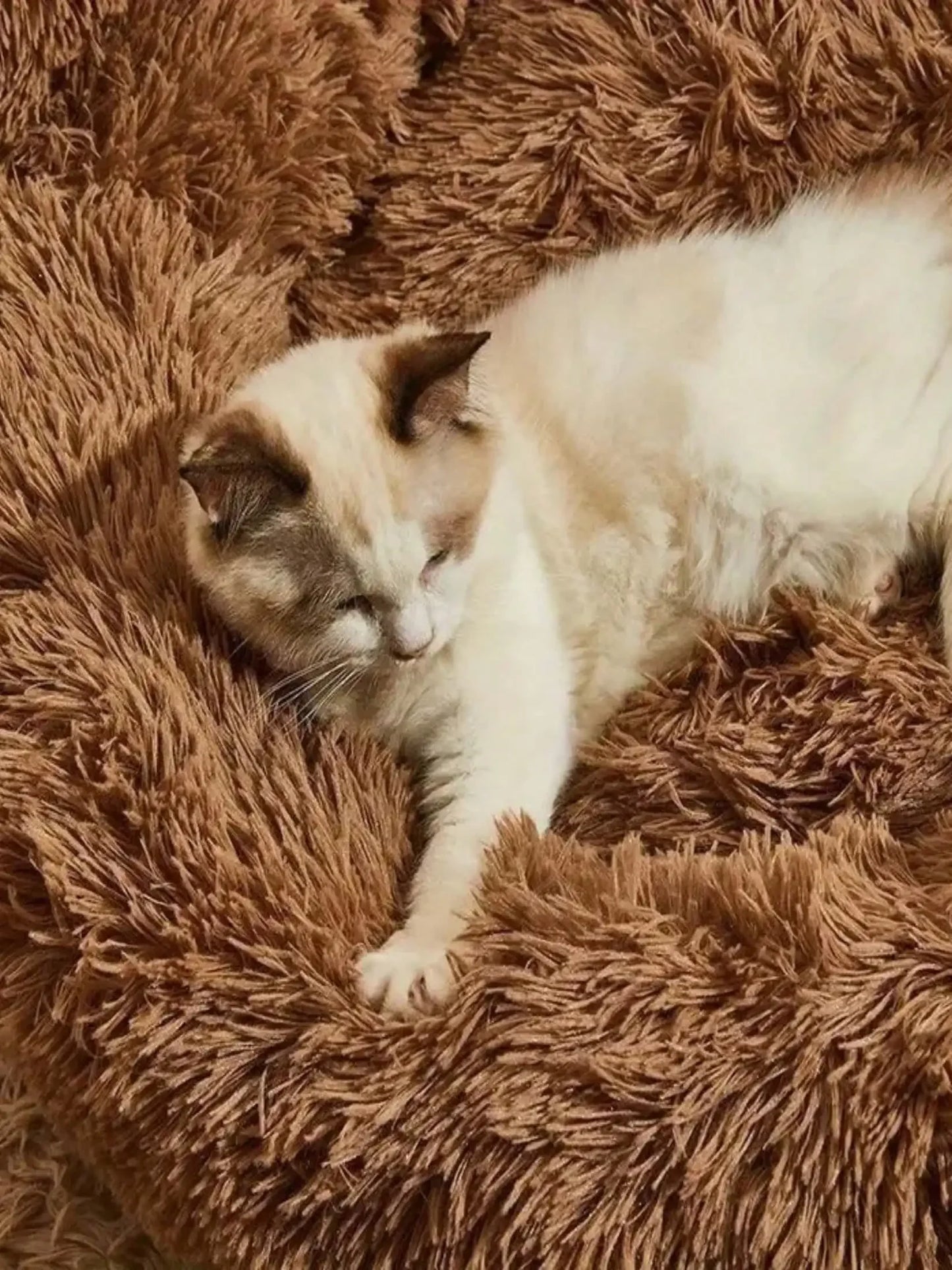 1pc Bear Paw Plush Pet Mat Plush Bear Paw Pet Bed - Polyester PP Cotton Filling, Machine Washable Easy Care, Non-Slip Design, So