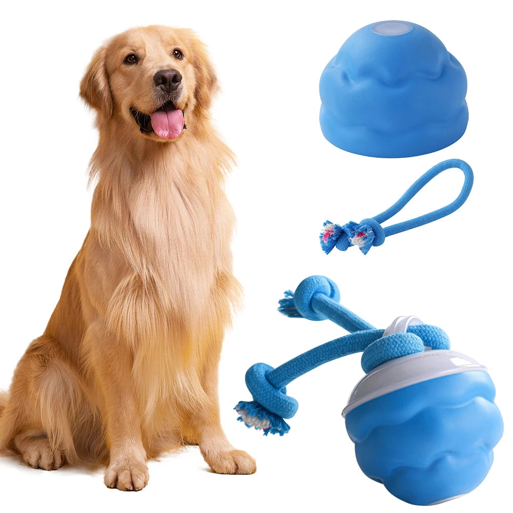 Interactive Dog Toys Ball Electric Rolling Ball USB Rechargeable Motion Activate Cat Toy 3 Modes Pet Exercise Toy for Puppies