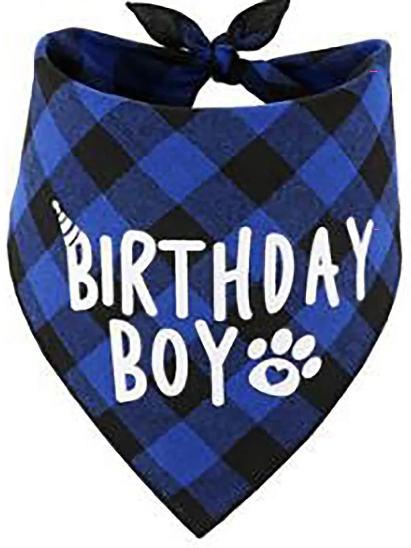 4pcs Slogan Graphic Pet Bandana & Hat & Bow Set For Dog And Cat For Birthday Party