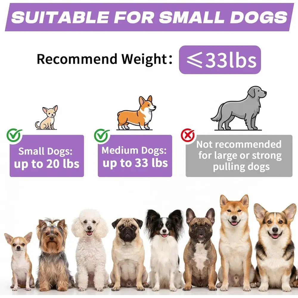 Retractable Dog Leash with USB Rechargeable Flashlight for Night Walks, 16ft Automatic Tractor Leash for Small and Medium Dogs