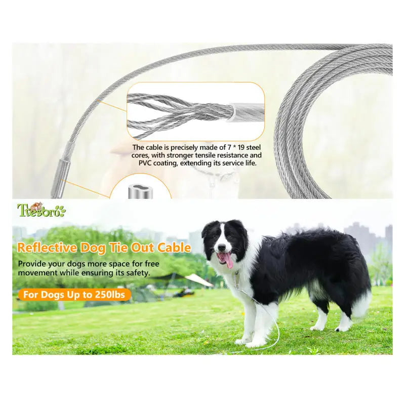 Double-headed Dog Tie Out Cable Leash ,traction rope with metal buckle steel wire anti-rust training collar, Outdoor Dogs Strap