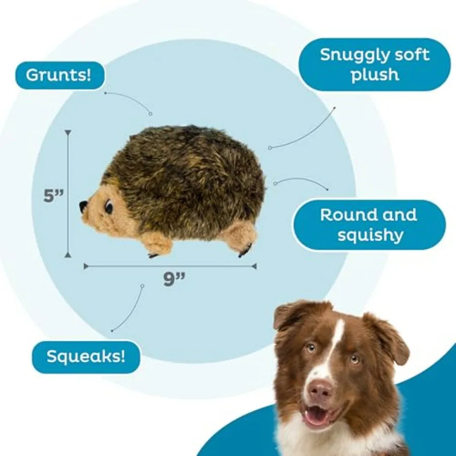 Hedgehogz Stuffed Dog Toy Soft Plush Hedgehog, Grunts and Squeaks, Medium, 9" x 5" x 6.5