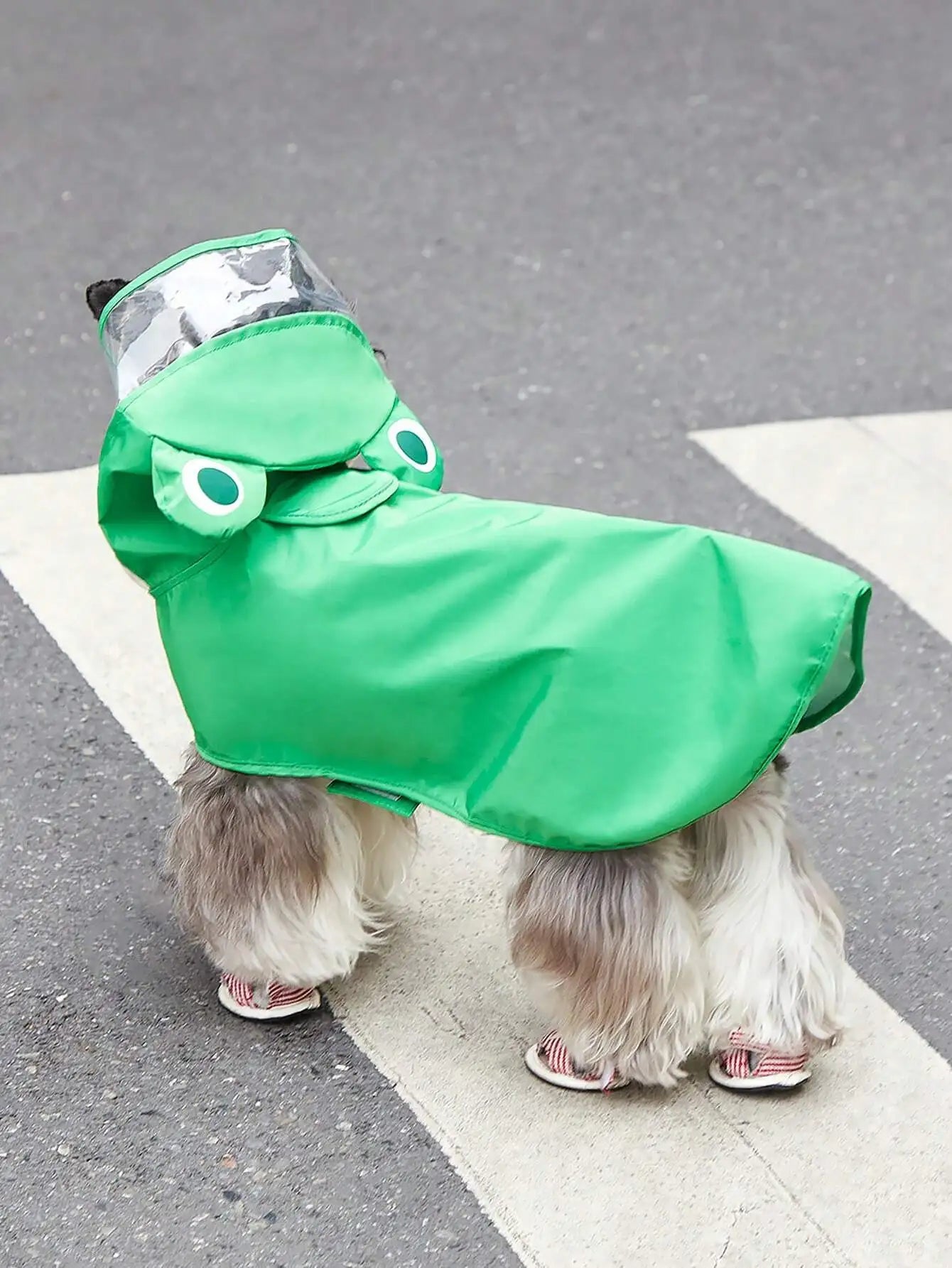 PETSIN 1pc Fabric Cartoon Bear Design Hooded Pet Raincoat For Dog And Cat For Rainy Day