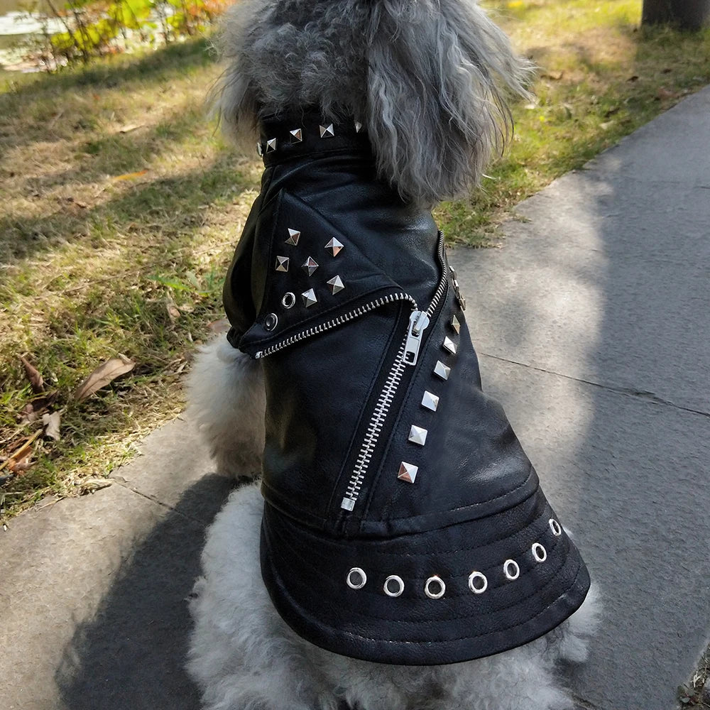 Cool Dog Jacket French Bulldog Puppy Dog Clothes Pet Coat Chihuahua Pug Pets Dogs Clothing for Small Medium Dogs Puppy Outfit