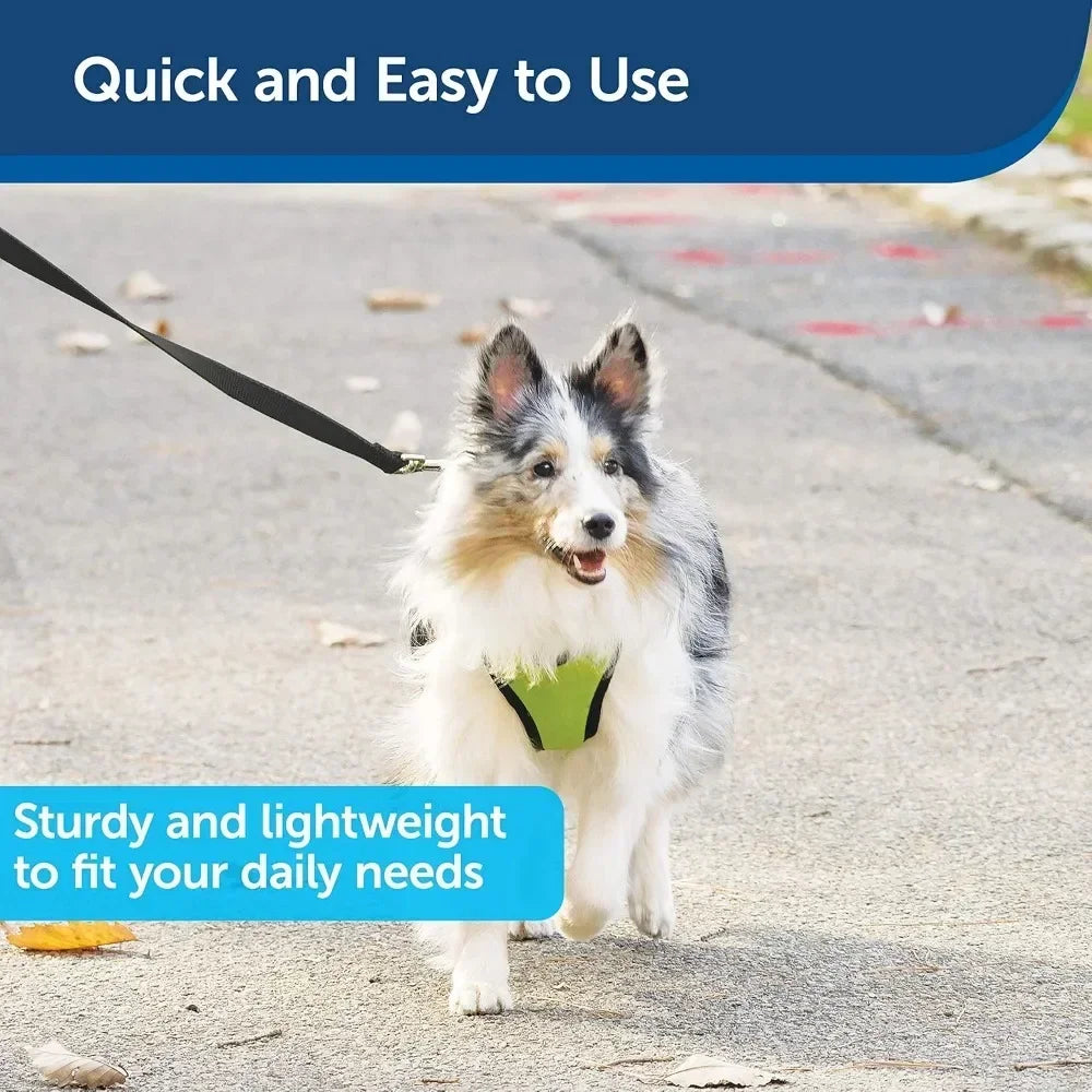 NEW Nylon Dog Leash – Strong, Durable, Traditional Style Leash - Easy to Use Bolt Snap for Small, Medium & Large Dogs – 3/4" x
