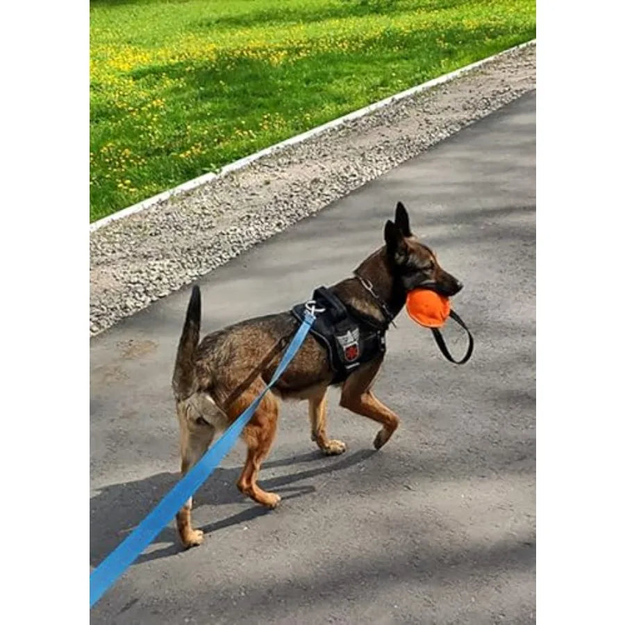 Berta Tug Toy in a Disc Shape for Bite Training K9 IGP Fetch Prey Drive Obedience Dog Sports French Material Bite Tug