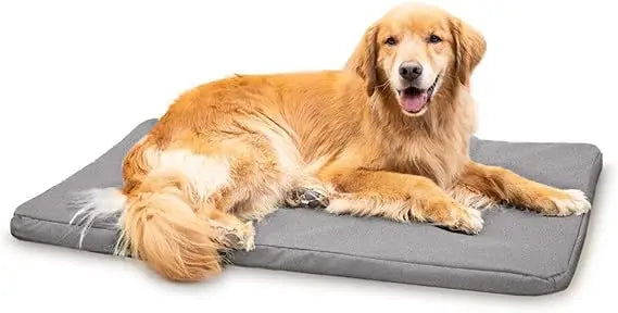 Tough Rip-Stop Orthopedic Dog Bed - Durable, Removable, Washable Cover, Kennel Pad Fits in Crate, Medium 35"x22", Light Gray
