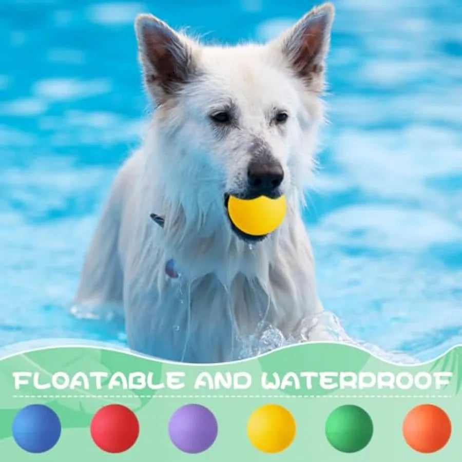 Shappy 24 Pieces Rubber Dog Tennis Balls for Dog Colorful Catching Pet Balls for Fetch Training 2.4 Inch Interactive Bounce and