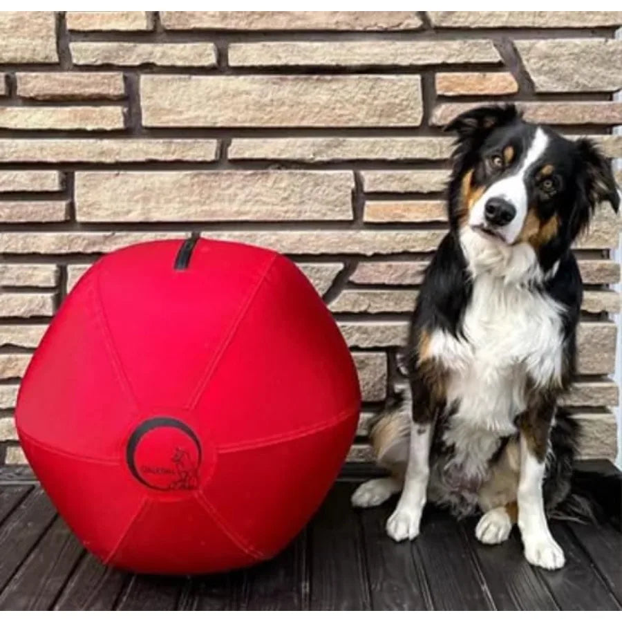Herding Ball for Dogs 18″ Inflatable Anti-Burst Dog Herding Ball for Australian Shepherds Corgis Collies and Cattle Dogs Durable