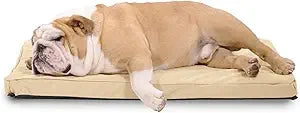 Tough Rip-Stop Orthopedic Dog Bed - Durable, Removable, Washable Cover, Kennel Pad Fits in Crate, Medium 35"x22", Light Gray