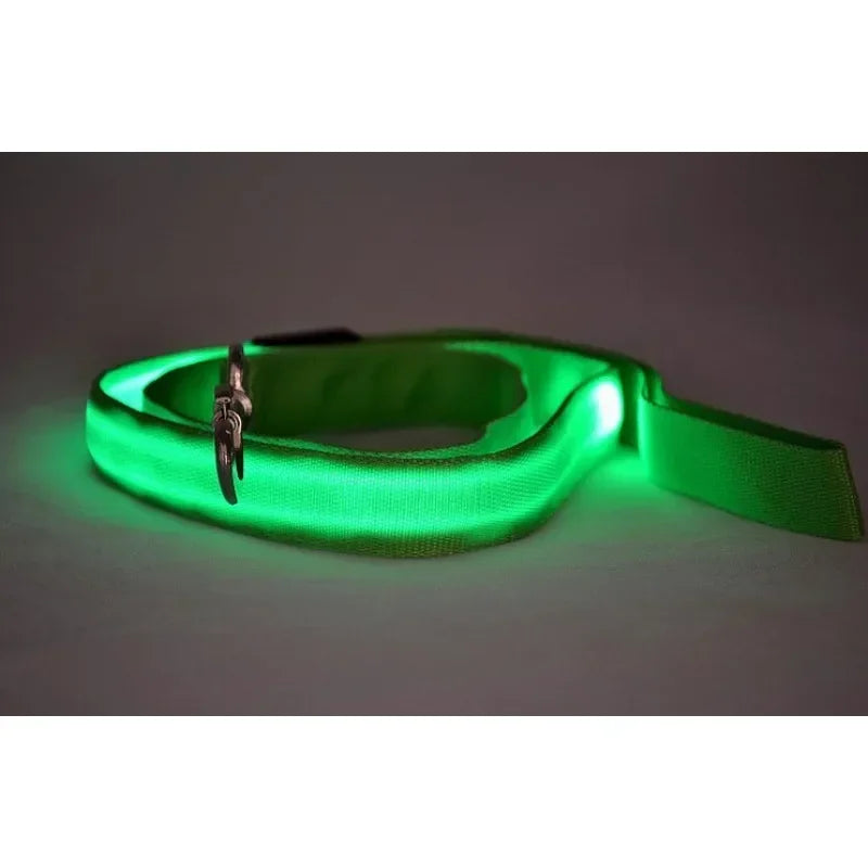 Flashing Leash, Electronic Glowing Dog Light, Dog LED,  Luminous Safety Up Accessories For Lead