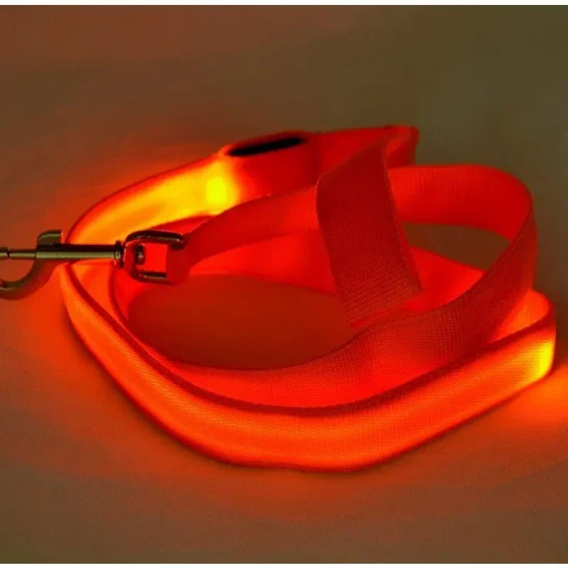 Flashing Leash, Electronic Glowing Dog Light, Dog LED,  Luminous Safety Up Accessories For Lead
