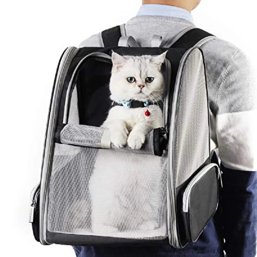 Invative Traveler Bubble Backpack Pet Carriers for Cats and Dogs Black