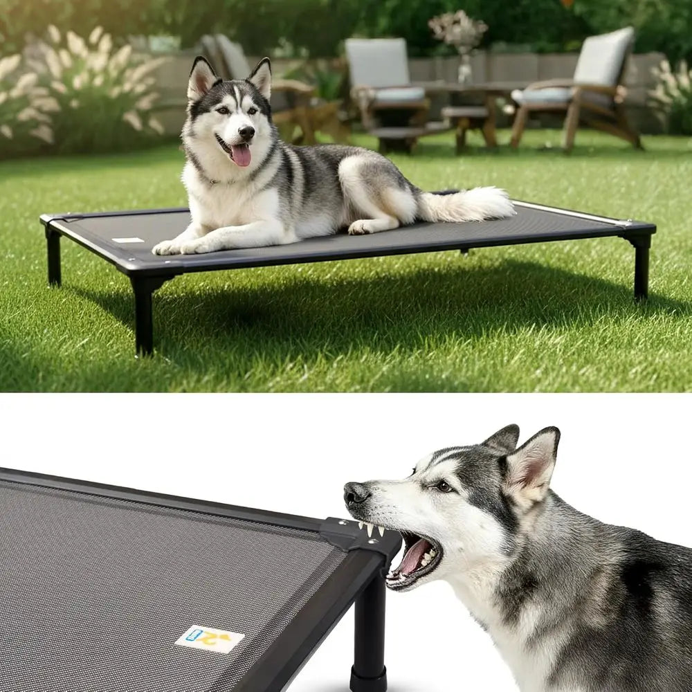 Elevated Outdoor Dog Cot for XL Dogs - Durable, Breathable, Waterproof, Easy to Clean