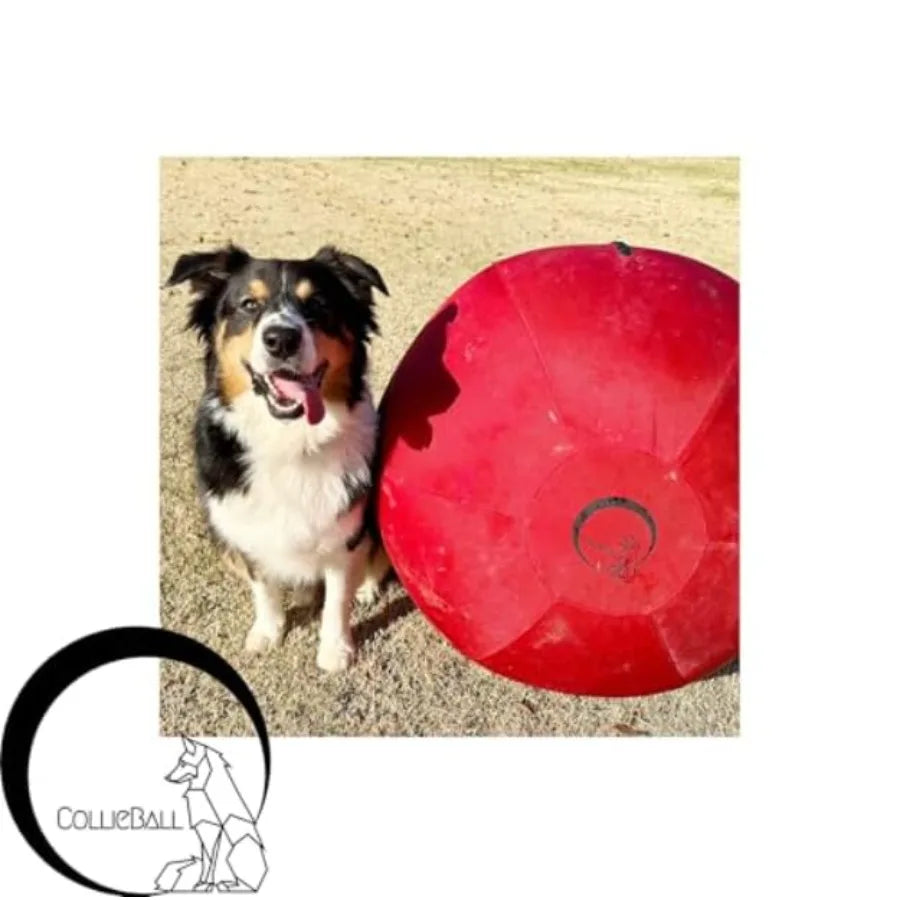 Herding Ball for Dogs 18″ Inflatable Anti-Burst Dog Herding Ball for Australian Shepherds Corgis Collies and Cattle Dogs Durable