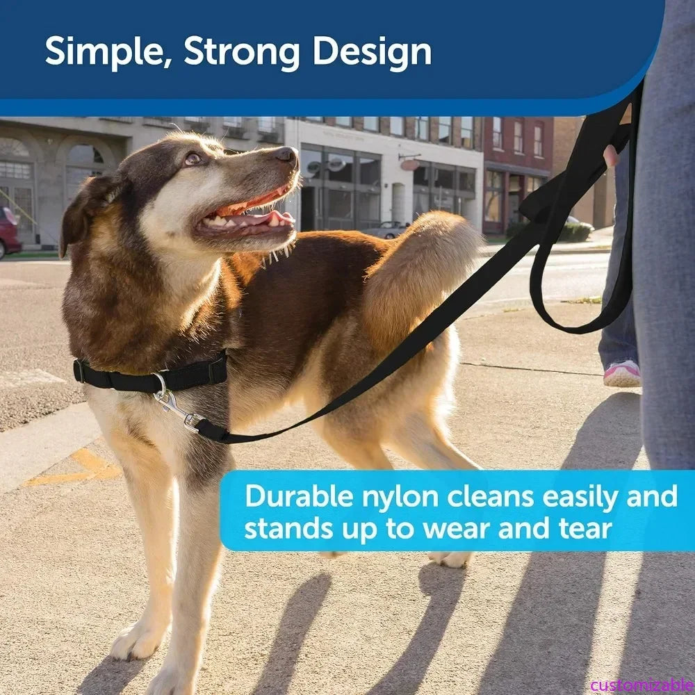 NEW Nylon Dog Leash – Strong, Durable, Traditional Style Leash - Easy to Use Bolt Snap for Small, Medium & Large Dogs – 3/4" x