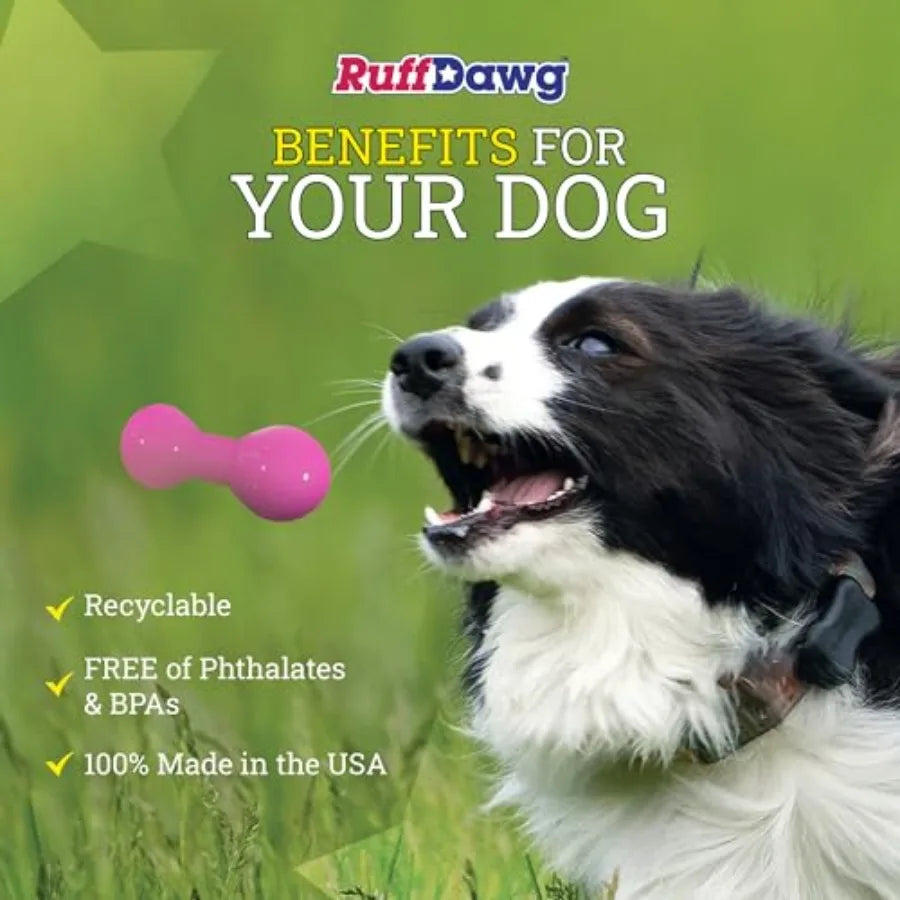 Big Dawg XL Heavy-Duty Rubber Dog Toy Bouncy Durable and Safe for Tough Chewers Neon Colors Perfect for Outdoor Play Fetch
